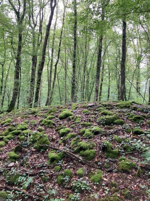 La Cabane, Durbuy Εξωτερικό φωτογραφία